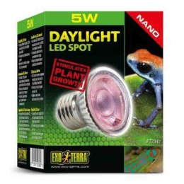 DAYLIGHT LED SPOT 5W EXO TERRA dla roślin