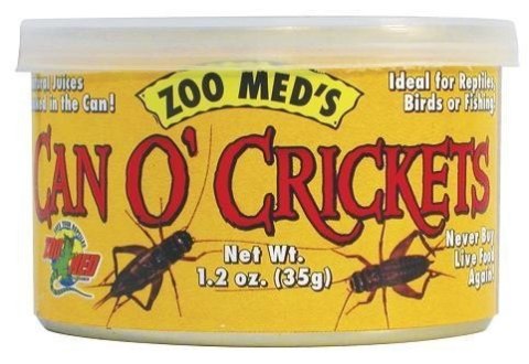 Dorosłe świerszcze CAN O CRICKETS 60 szt. ZOO MED