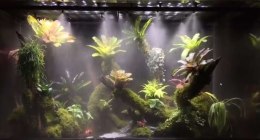 Dysza T poczwórna Eco