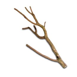 Gałąź z korka M Hobby