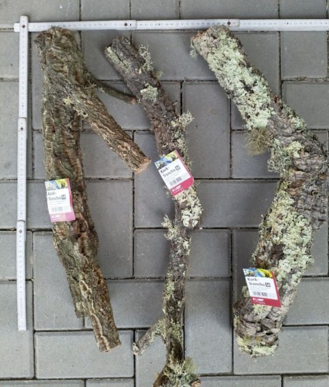 Gałąź z korka M Hobby