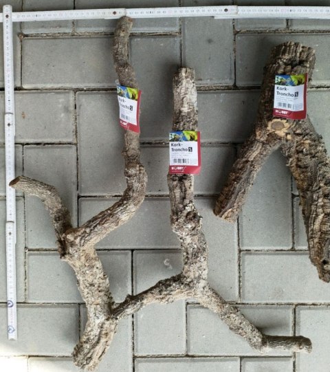 Gałąź z korka S Hobby