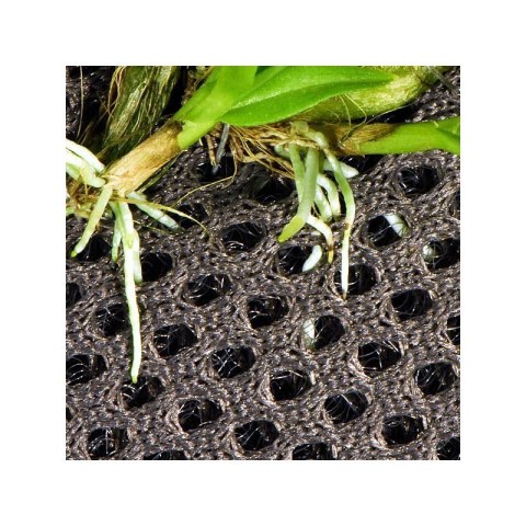 Hydrolon Rainforest Plant Cotton L 44 x 44 cm