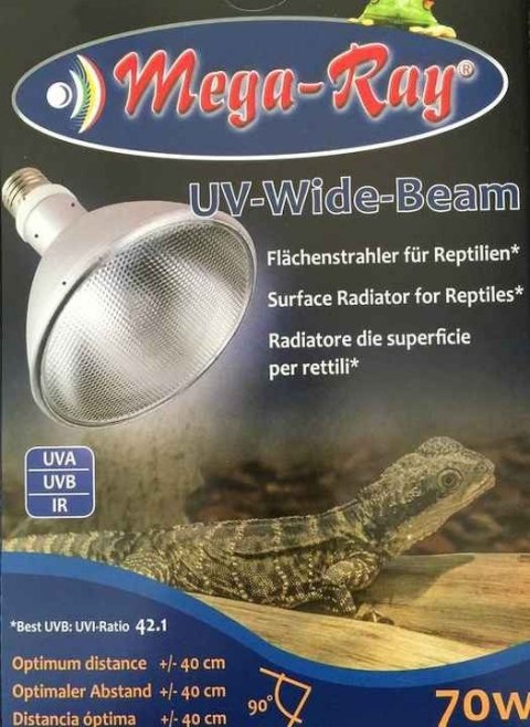 Komplet 70W WIDE metahalogen + ballast + lampa MEGA RAY