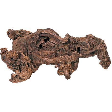 Korzeń Sawanna L Hobby