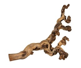 Korzenie winorośla M 30-40cm TRIXIE