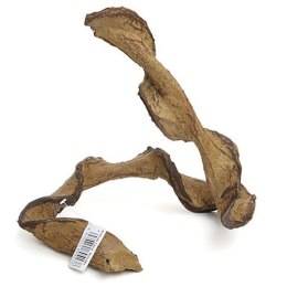 Liana afrykańska 40cm REPTI ZOO