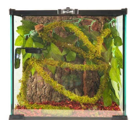 Liana z mchem 200cm/1cm Moss Vine Small REPTI ZOO