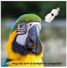 MEGA RAY żarówka Bird UV 2.4 20W dla ptaków