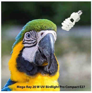 MEGA RAY żarówka Bird UV 2.4 20W dla ptaków