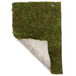 Mech naturalny 100g Hobby