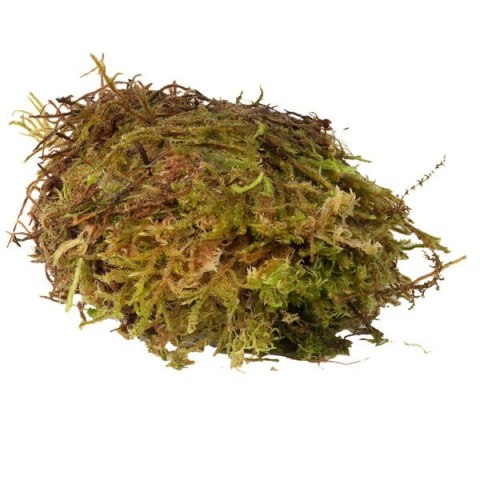 Mech torfowiec HabiStat SPHAGNUM MOSS 1kg