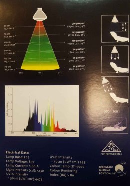 Metahalogen 50W FLOOD MEGA RAY