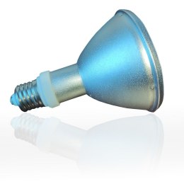 Metahalogen 50W PAR30 6000K Repti Good