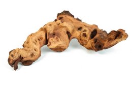 Mopani korzeń M 25-35cm