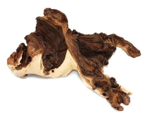 Mopani korzeń S 15-25cm