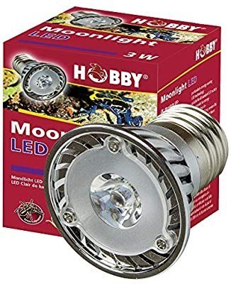 Nocna żarówka LED 3W HOBBY