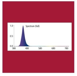 Nocna żarówka LED 3W HOBBY