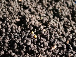 Odżywia podłoże dla roślin Biorevitaliser 3500g ARCADIA