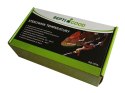 Termostat RG-TE16 REPTI GOOD