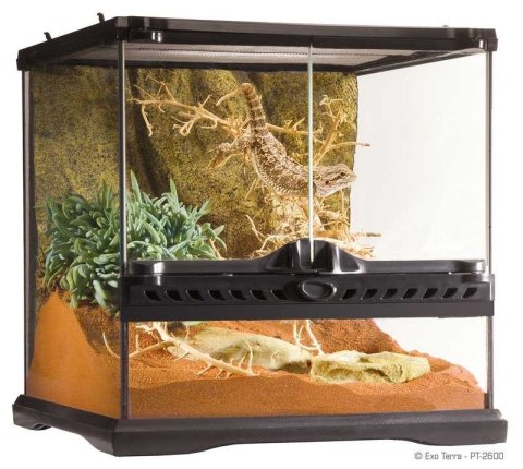 Terrarium 30x30x30 szklane EXO TERRA