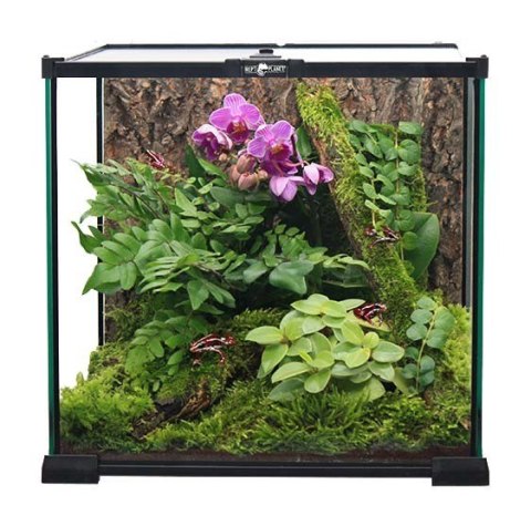 Terrarium szklane 20x20x20cm REPTI PLANET