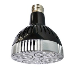 Żarówka POWER LED grzewcza 35W HOBBY
