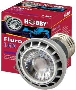 Żarówka ULTRAFIOLET 1W HOBBY