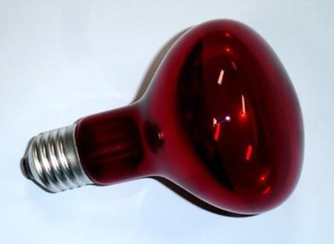 Żarówka czerwona INFRARED HEAT 100W MEGA RAY