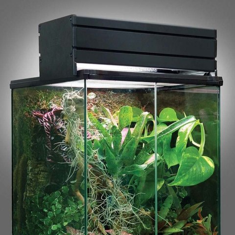 Dla kameleonów pokrywa T5 UVB 7% 11W FOREST ARCADIA