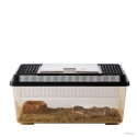 Faunarium DUŻE 360x210x160mm EXO TERRA – z gekonem