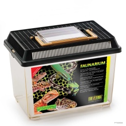Faunarium SMALL 23X15,3X16,5cm EXO TERRA – nowy wygląd