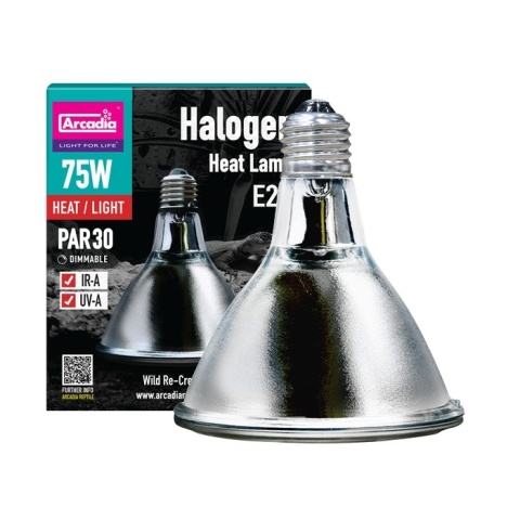 Żarówka halogenowa Halogen Heat Lamp 75W ARCADIA – nowe opakowanie