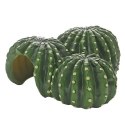Kaktusowy dom Cactus Home 1 22,5 x 22 x 10 cm HOBBY