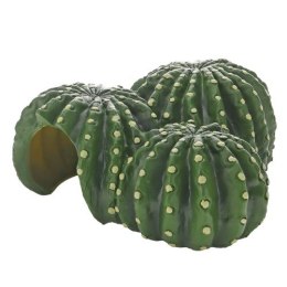 Kaktusowy dom Cactus Home 1 22,5 x 22 x 10 cm HOBBY