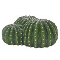 Kaktusowy dom Cactus Home 1 22,5 x 22 x 10 cm HOBBY