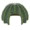 Kaktusowy dom Cactus Home 4 23,0 x 22,0 x 13,8 cm HOBBY
