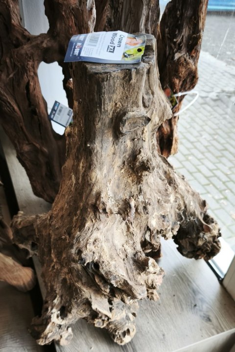 Korzeń Crown Wood XL HOBBY