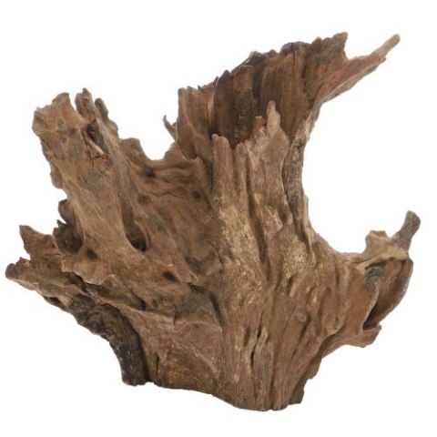 Korzeń Crown Wood M HOBBY