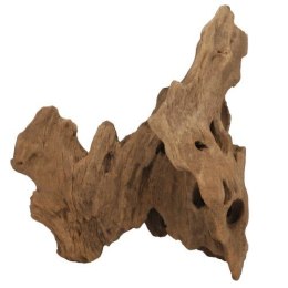 Korzeń Crown Wood S HOBBY