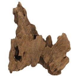 Korzeń Crown Wood S HOBBY