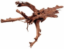 Mangrowiec korzeń XXL 70-90cm