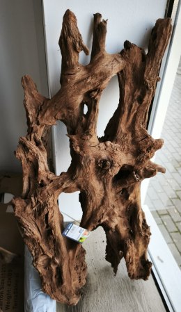 Mangrowiec korzeń XXL 70-90cm
