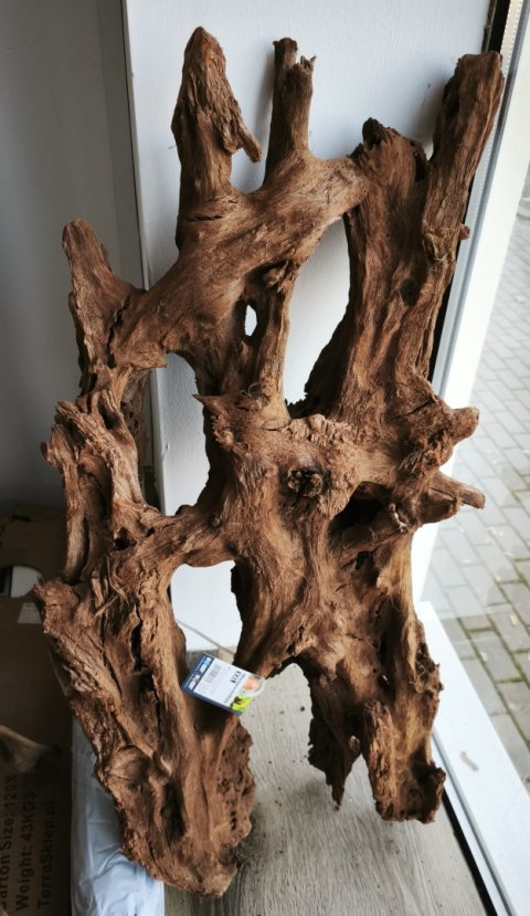 Mangrowiec korzeń XXL 70-90cm