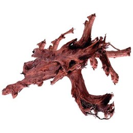 Mangrowiec korzeń XXXL 90-110cm