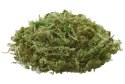 Natural Moss mech 100g HOBBY