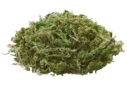 Natural Moss mech 100g HOBBY