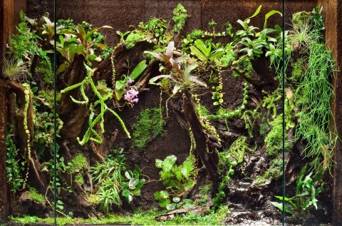 Panel Xaxim 50x20x2cm