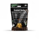 Podłoże dla gekona orzęsionego Crested Gecko 10L HabiStat
