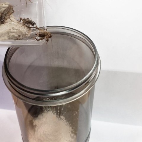 Pojemnik do obsypywania karmówki witaminami Cricket Vitamizer HOBBY